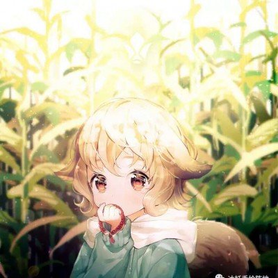 蜘蛛侠1